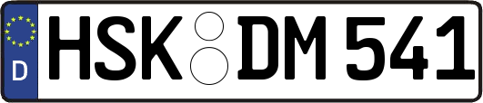 HSK-DM541