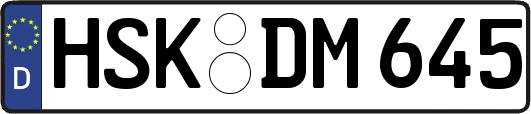 HSK-DM645