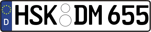 HSK-DM655