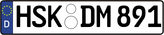HSK-DM891