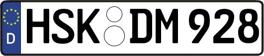 HSK-DM928