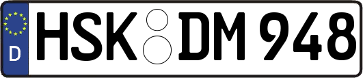 HSK-DM948