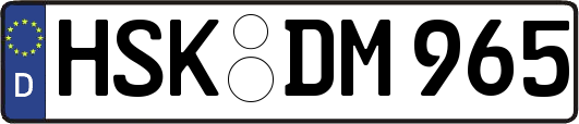 HSK-DM965