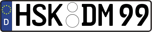 HSK-DM99