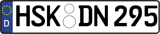 HSK-DN295