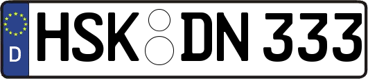 HSK-DN333