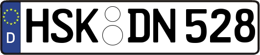 HSK-DN528