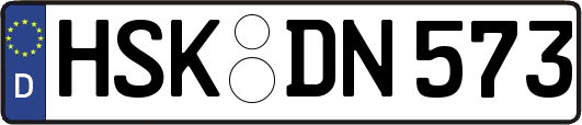 HSK-DN573