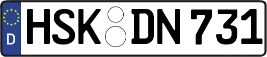HSK-DN731