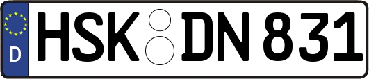 HSK-DN831