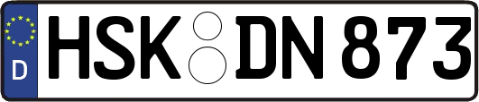 HSK-DN873