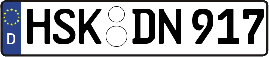 HSK-DN917