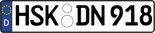 HSK-DN918