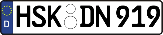 HSK-DN919