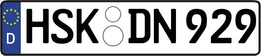 HSK-DN929