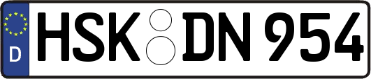 HSK-DN954