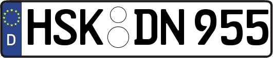 HSK-DN955