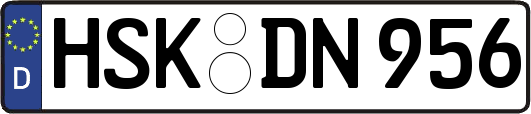 HSK-DN956