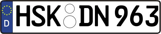 HSK-DN963