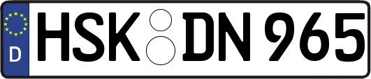 HSK-DN965