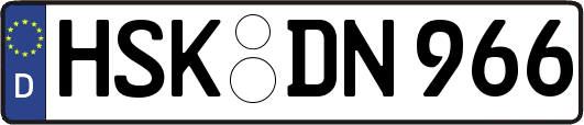 HSK-DN966