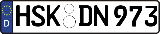 HSK-DN973
