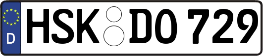 HSK-DO729