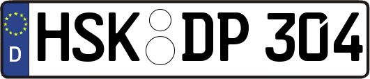 HSK-DP304