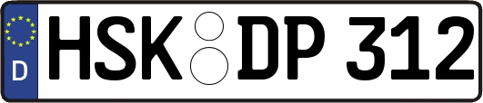 HSK-DP312