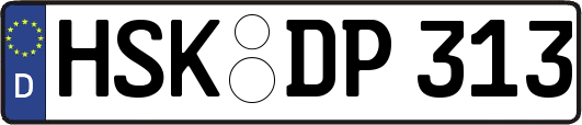 HSK-DP313
