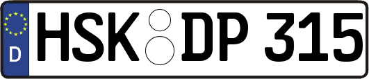 HSK-DP315