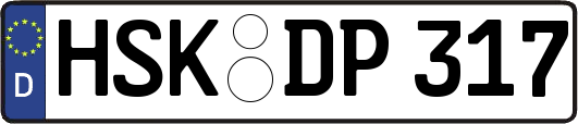 HSK-DP317