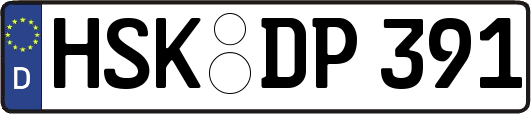 HSK-DP391