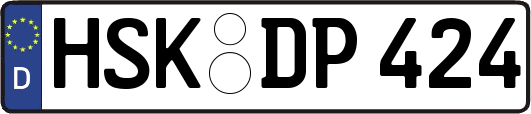 HSK-DP424