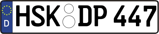 HSK-DP447
