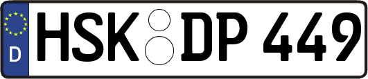 HSK-DP449