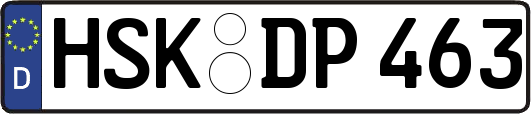 HSK-DP463