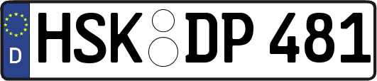 HSK-DP481