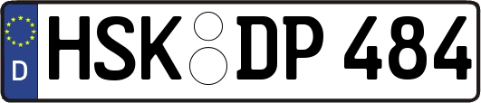 HSK-DP484