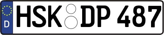 HSK-DP487