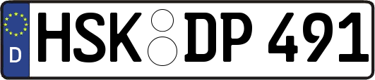 HSK-DP491