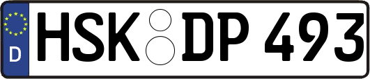HSK-DP493