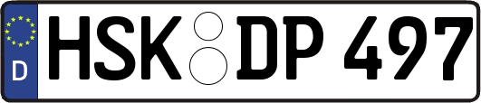 HSK-DP497