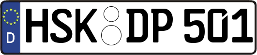 HSK-DP501