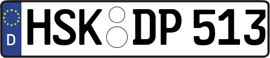 HSK-DP513