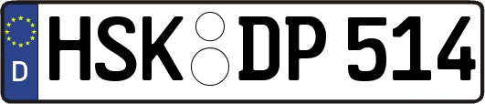HSK-DP514