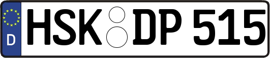HSK-DP515