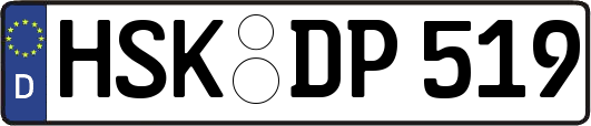 HSK-DP519