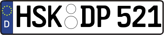 HSK-DP521