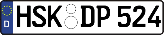 HSK-DP524